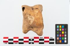 Foto von Astragalknochen (NHMW-PRAE-025648)